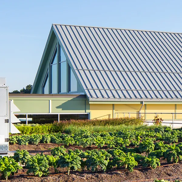 commercial farm roof