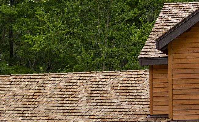 Cedar Shake Roof